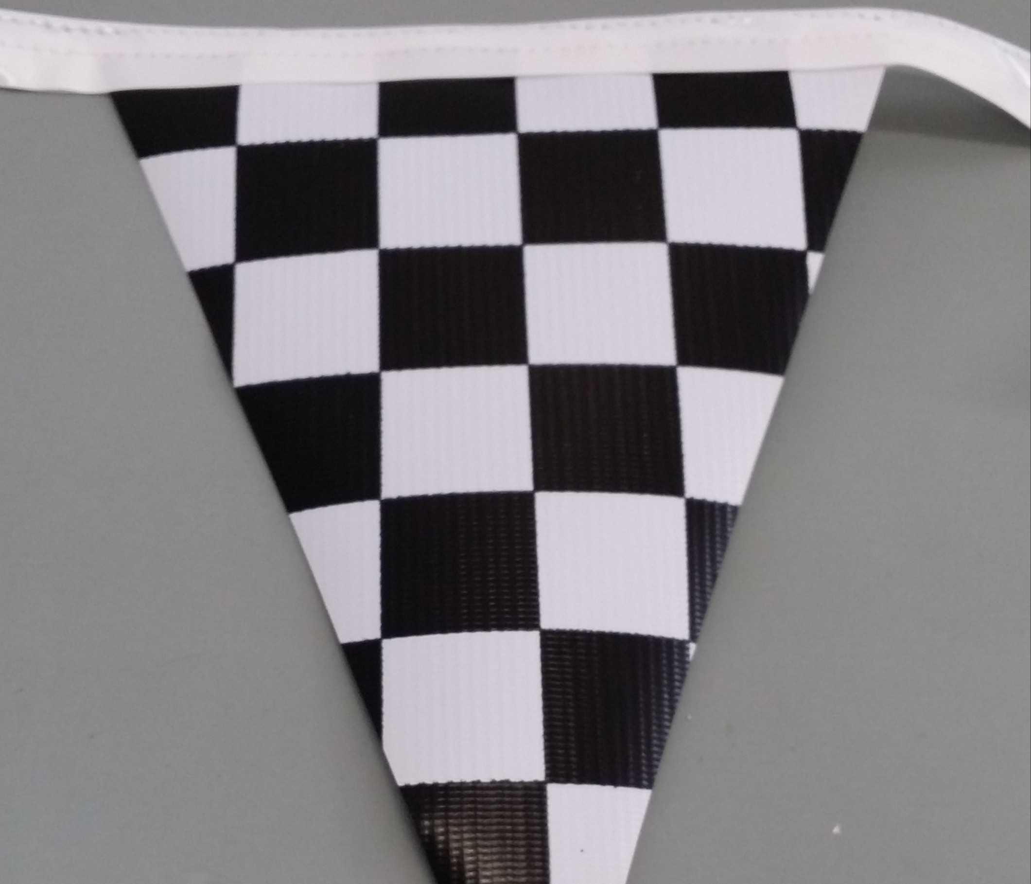 Chequered Bunting